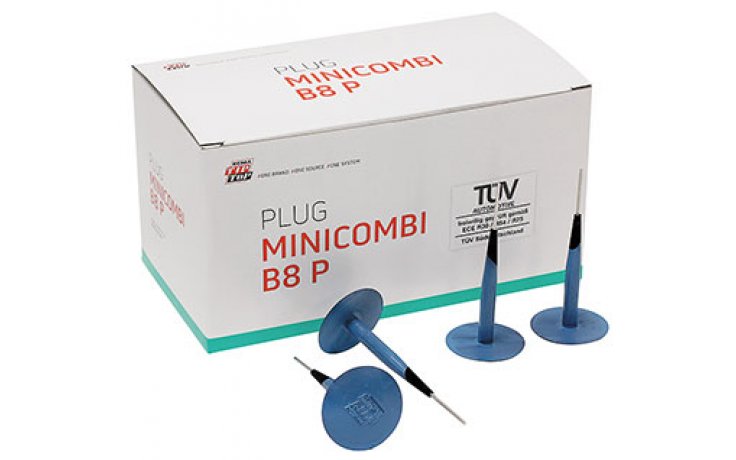 B8 Kołek Minicombi