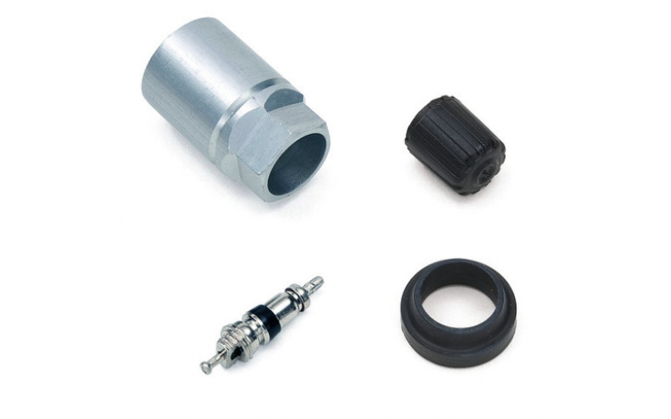 Zestaw naprawczy zaworu TPMS PSA