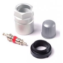 Zestaw naprawczy zaworu TPMS Nissan